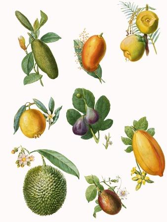 Giclee Print, , small