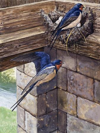 Giclee Print, , small