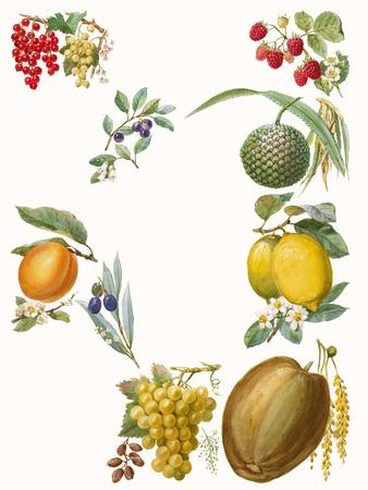 Giclee Print, , small