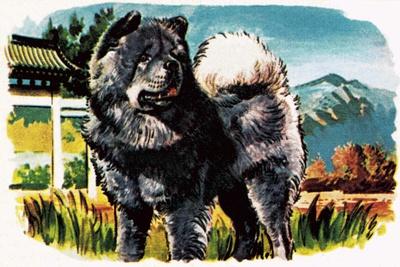 Giclee Print, , small