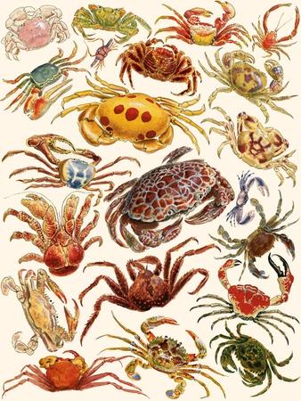 Giclee Print, , small
