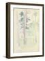 Pines by the Lake, 1893 (W/C on Paper)-Berthe Morisot-Framed Giclee Print