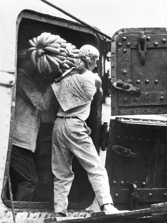 Photographic Print, , small