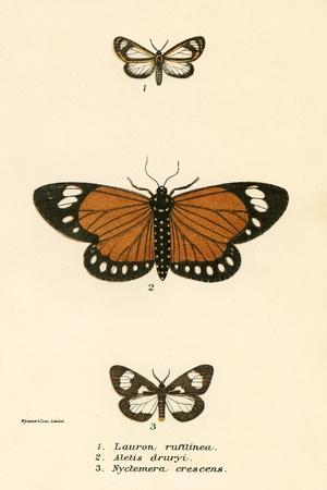 Giclee Print, , small