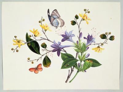 Giclee Print, , small