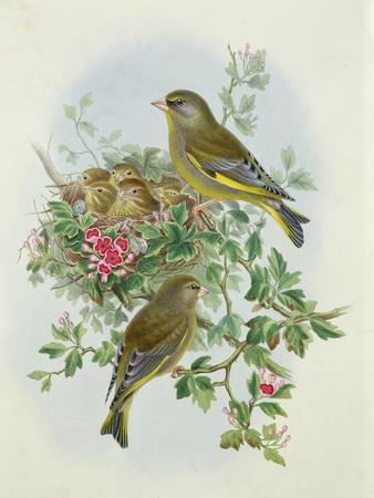 Giclee Print, , small