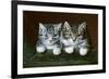 Two Tabby Kittens-Horatio Henry Couldery-Framed Giclee Print