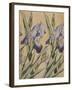 Iris, 1898-Kolo Moser-Framed Giclee Print