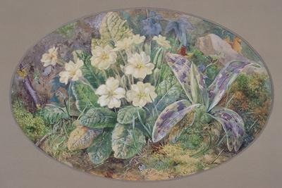 Giclee Print, , small