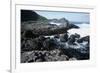 UK, Northern Ireland, County Antrim, Giant's Causeway, Prismatic Basalt Columns-null-Framed Giclee Print