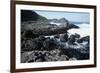 UK, Northern Ireland, County Antrim, Giant's Causeway, Prismatic Basalt Columns-null-Framed Giclee Print