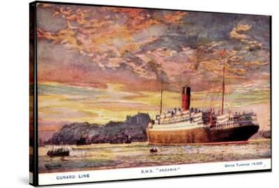 Stretched Canvas Print, , small