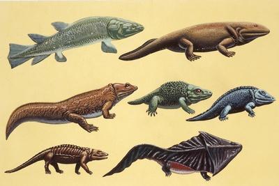 Giclee Print, , small