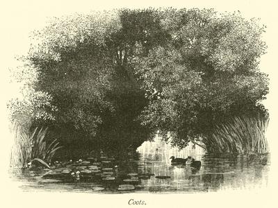 Giclee Print, , small