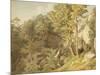 Canonteign, Devon, 1804-John White Abbott-Mounted Giclee Print