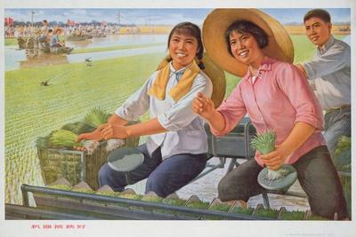 Giclee Print, , small