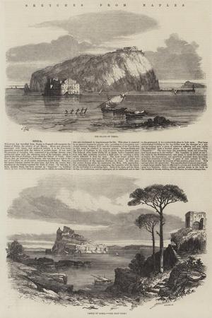 Giclee Print, , small