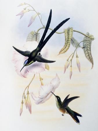 Giclee Print, , small