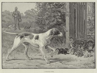 Giclee Print, , small