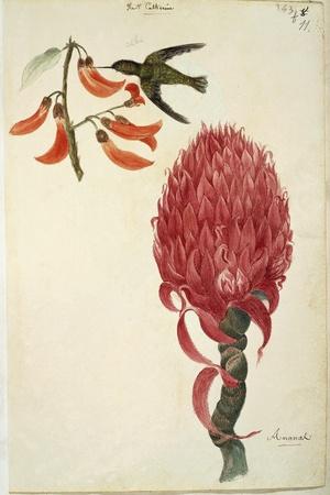 Giclee Print, , small