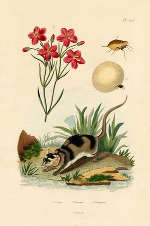 Giclee Print, , small