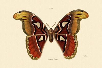 Giclee Print, , small