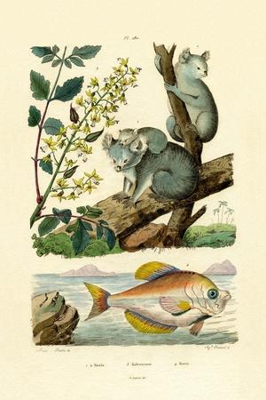 Giclee Print, , small
