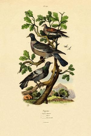 Giclee Print, , small