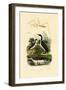 Bug, 1833-39-null-Framed Giclee Print