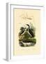 Bug, 1833-39-null-Framed Giclee Print