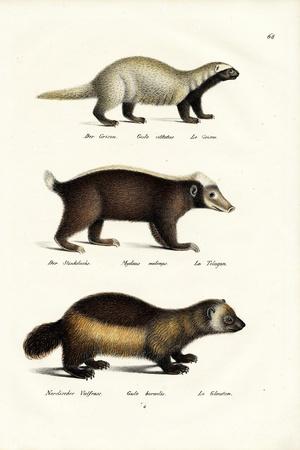 Giclee Print, , small