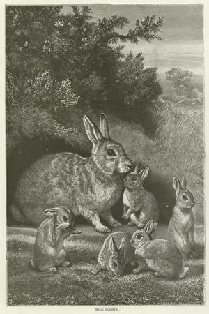 Giclee Print, , small