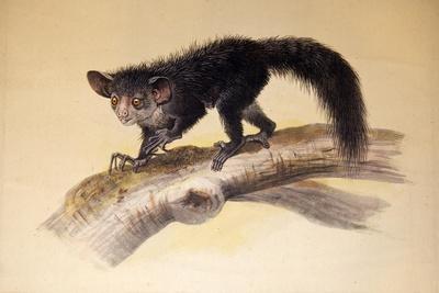 Giclee Print, , small