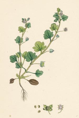 Giclee Print, , small