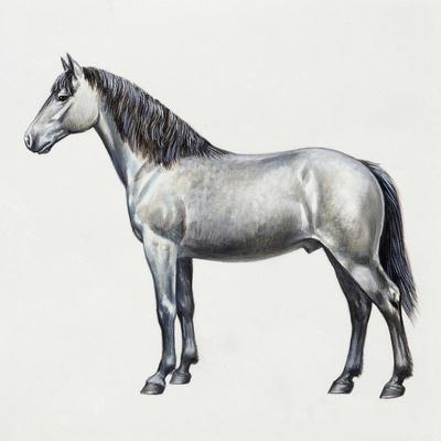 Giclee Print, , small