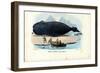 Bowhead Whale, 1863-79-Raimundo Petraroja-Framed Giclee Print