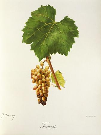 Giclee Print, , small