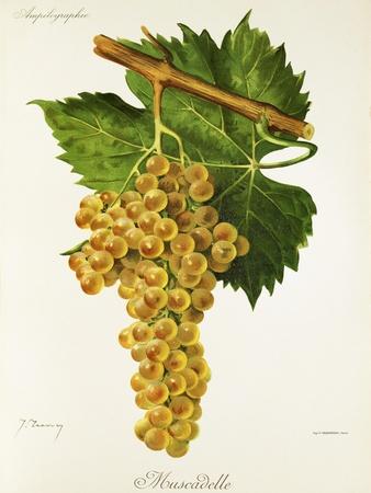 Giclee Print, , small