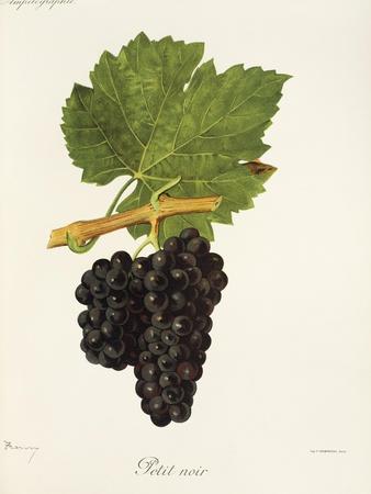 Giclee Print, , small