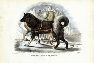 Giclee Print, , small