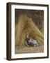 Past Work-Helen Allingham-Framed Giclee Print