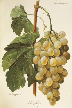 Giclee Print, , small