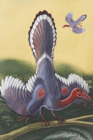 Giclee Print, , small