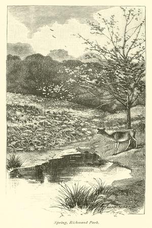 Giclee Print, , small