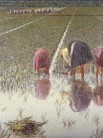 Giclee Print, , small