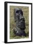 Moai-null-Framed Giclee Print