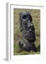 Moai-null-Framed Giclee Print