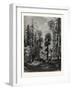 View in the Western Himalayas-null-Framed Giclee Print