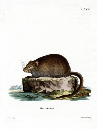 Giclee Print, , small