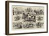 The Coursing Meeting at Altcar, Near Liverpool-null-Framed Giclee Print